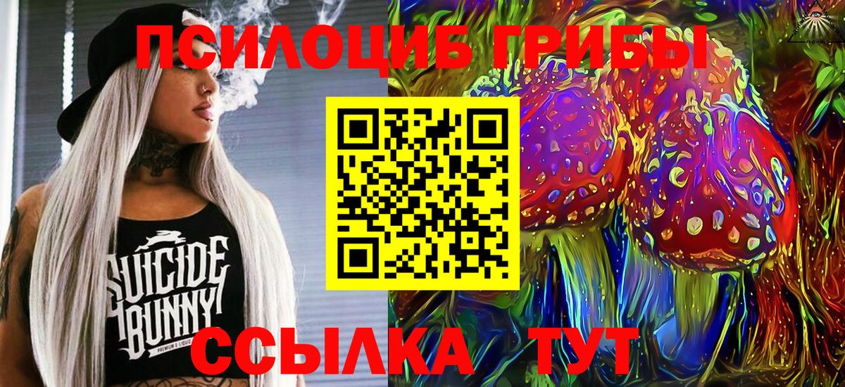 Троицк  Псилоцибиновые грибы GOLDEN TEACHER  Псилоцибиновые грибы прущие грибы  Вход с VPN 